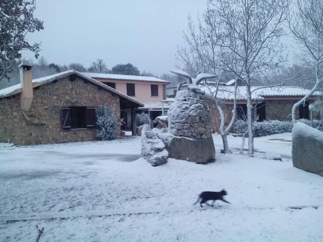 Hotel Il Nido Dell'Aquila Villanova Strisaili Exteriör bild